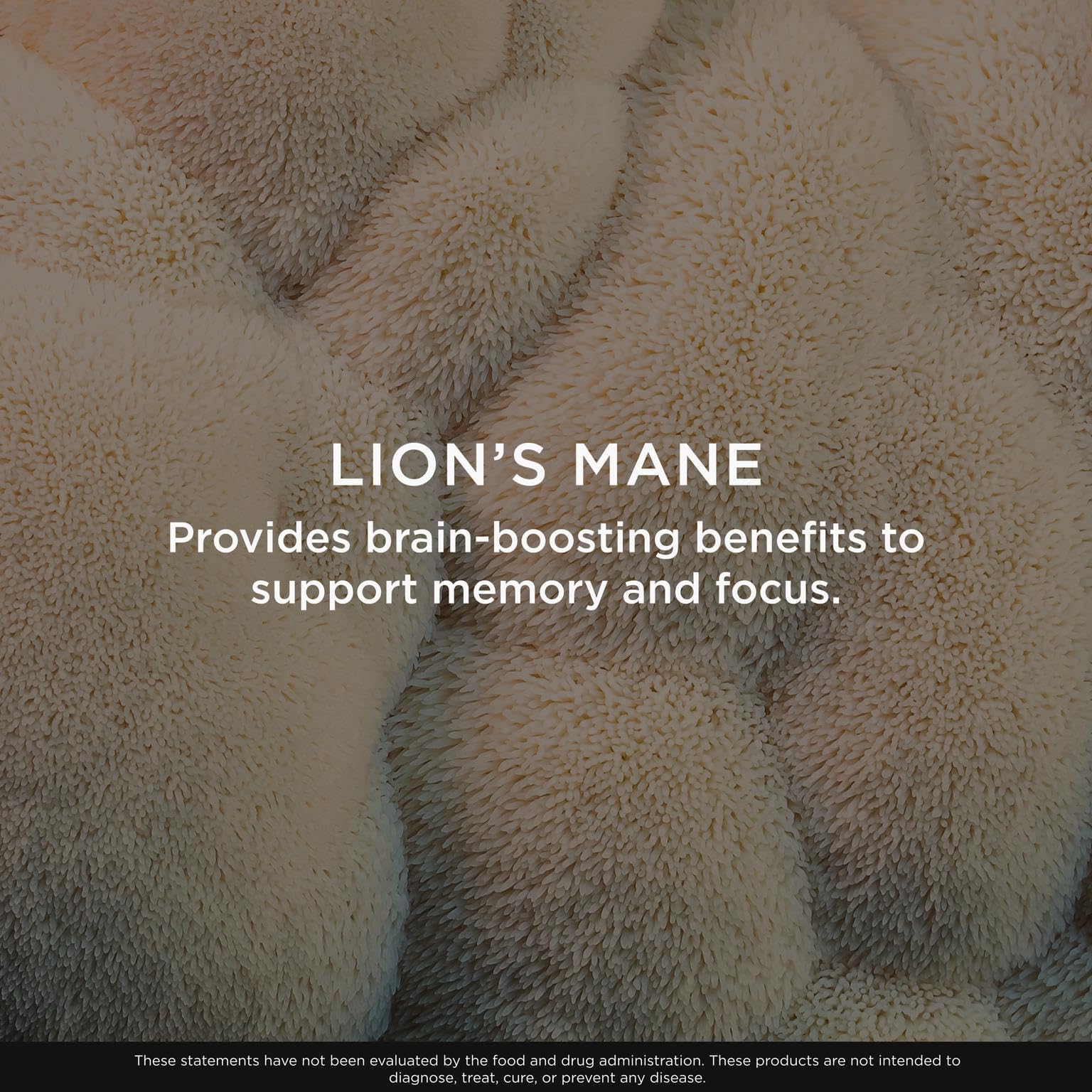 The Genius Brand Genius Lion's Mane - Plant-Based Supplement for Memory, Focus & Mood Support - Organic & Non-GMO - 120 Veggie Capsules - Maple Wellness Supplements