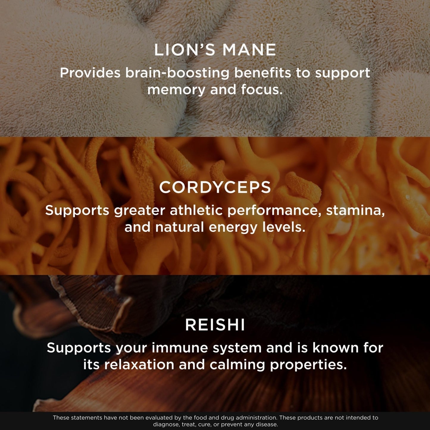 The Genius Brand Genius Mushrooms - Plant-Based Supplement for Immune, Focus & Energy Support - Lion's Mane, Cordyceps & Reishi - Maple Wellness Supplements