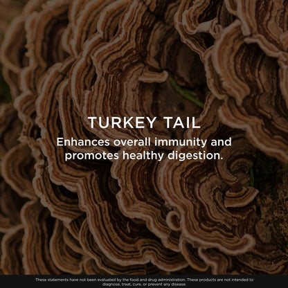 The Genius Brand Genius Turkey Tail - Plant-Based Supplement for Immune, Gut & Antioxidant Support - Organic & Non-GMO - 120 Veggie Capsules - Maple Wellness Supplements