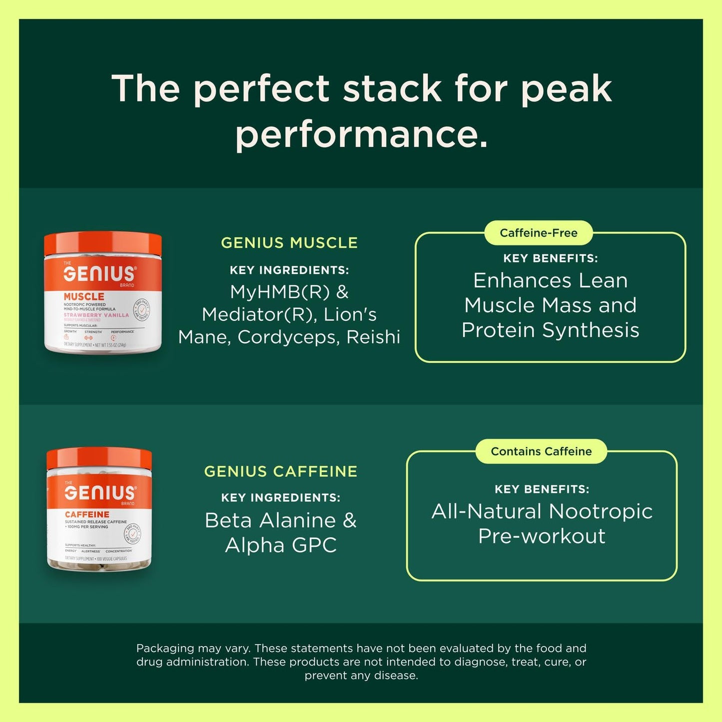 The Genius Brand Protein Powder - Chocolate + Adaptogenic Mushroom Blend - Plant-Based Protein with Reishi, Cordyceps & Lion’s Mane - Daily Muscle Recovery & Immune Support - 20 Servings - Maple Wellness Supplements