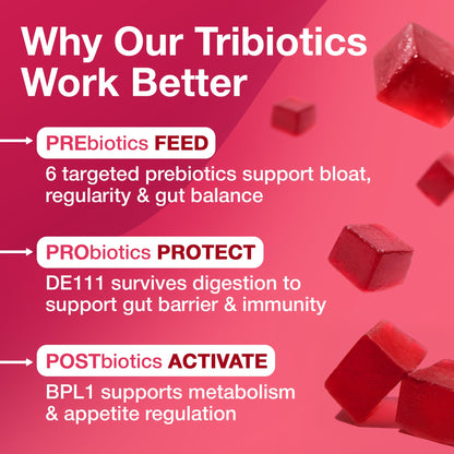 The Gut Gummy, 360° Daily Gut Reset, Full-Spectrum Tribiotic for Women & Men, Prebiotics Probiotics Postbiotics for Bloating, Belly Fat, Skin & Immune Support, Sugar Free Tart Cherry Gummies, 60 Count - Maple Wellness Supplements