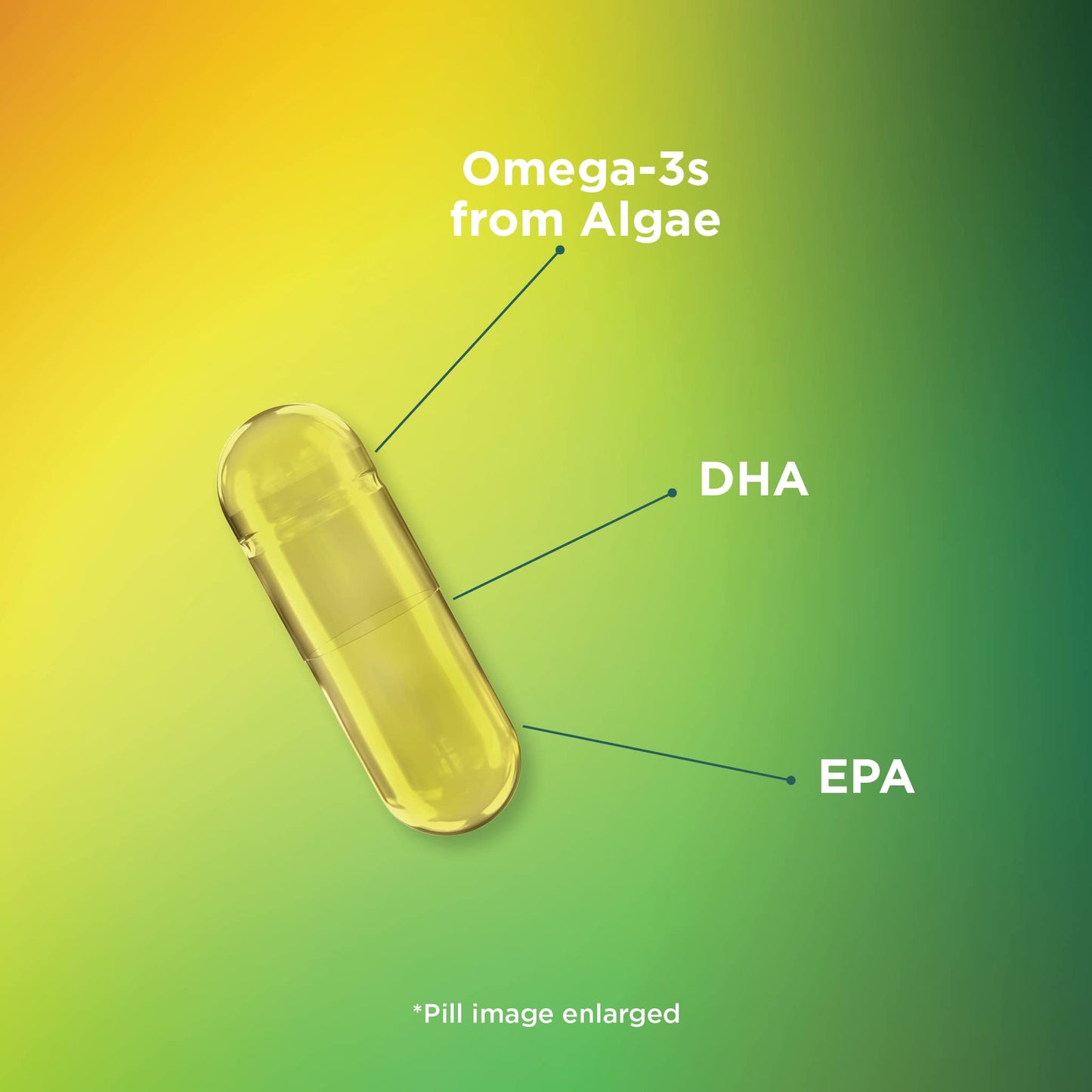 Theralogix PhytoLife Omega - 90-Day Supply - Vegan Algae Omega-3 Supplement - Maple Wellness Supplements