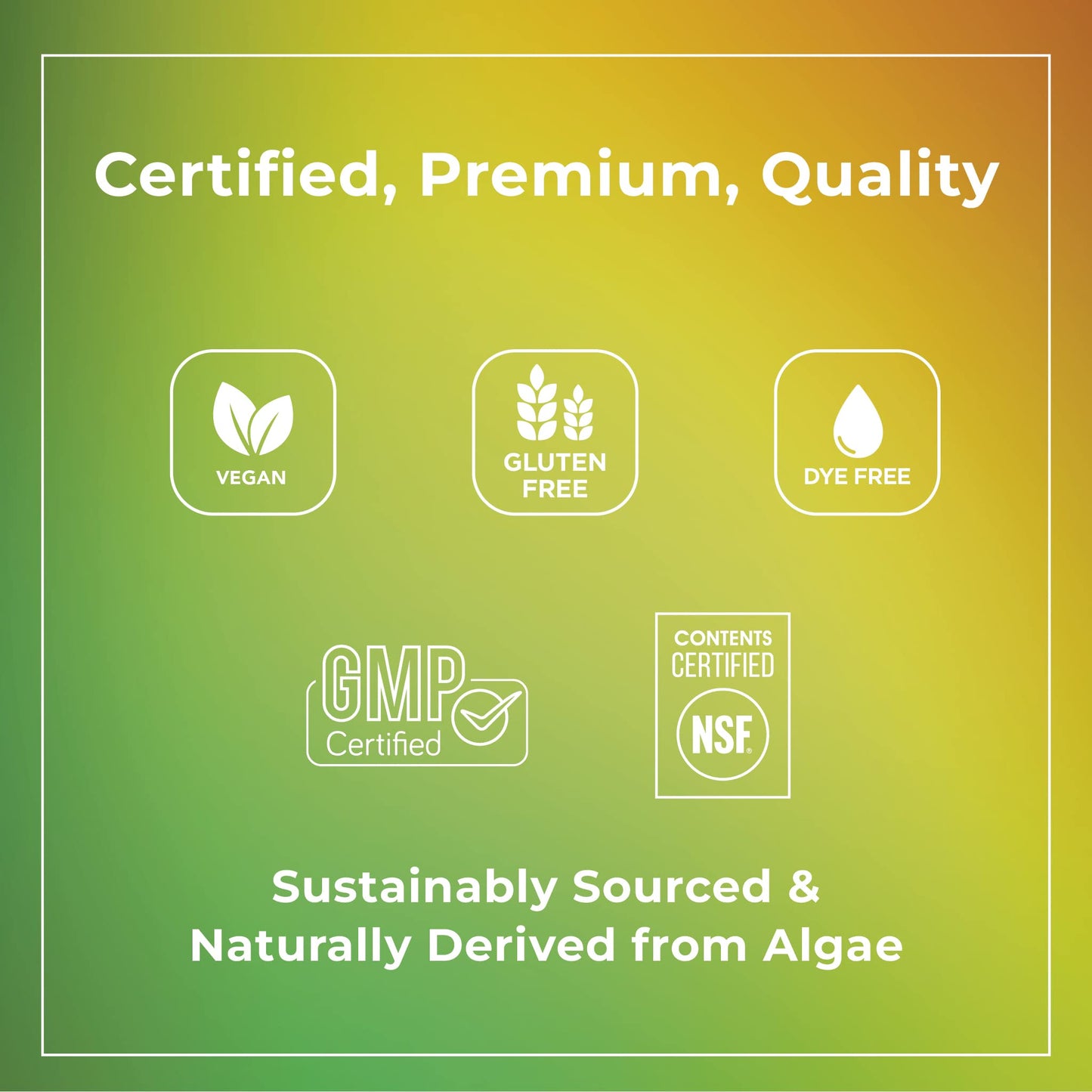 Theralogix PhytoLife Omega - 90-Day Supply - Vegan Algae Omega-3 Supplement - Maple Wellness Supplements