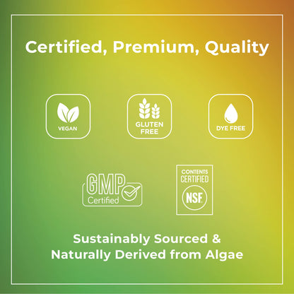 Theralogix PhytoLife Omega - 90-Day Supply - Vegan Algae Omega-3 Supplement - Maple Wellness Supplements