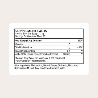 THORNE - Creatine + Alpha GPC - Micronized Creatine Monohydrate Powder - Support for Muscles & Cognitive Function* - for Women & Men - Watermelon Lemonade - Maple Wellness Supplements