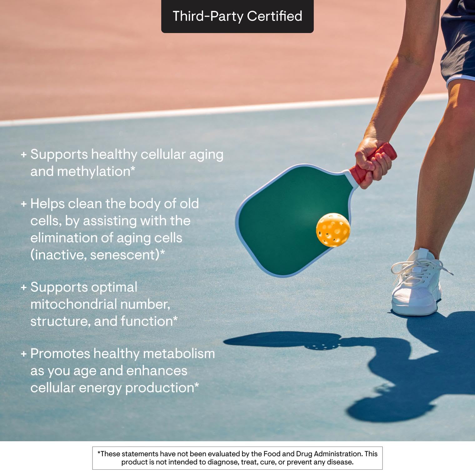 THORNE - ResveraCel - Nicotinamide Riboside with Quercetin Phytosome & Resveratrol - Support Healthy Aging, Methylation, Cellular Energy Production & Metabolism* - 30 Servings - Maple Wellness Supplements