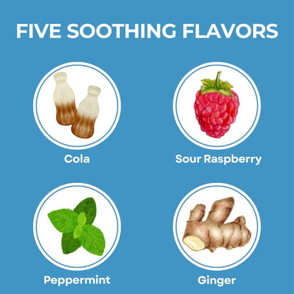 Three Lollies Queasy Drops- Supports Motion Sickness Relief. Also Pregnancy & Morning Sickness Relief. Stomach Settle Drops Assorted 48 Count - Maple Wellness Supplements