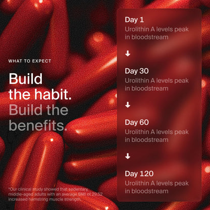 Timeline Mitopure Urolithin A Supplement Softgels - Clinically Proven Support for Healthy Aging and Cellular Renewal - Maple Wellness Supplements