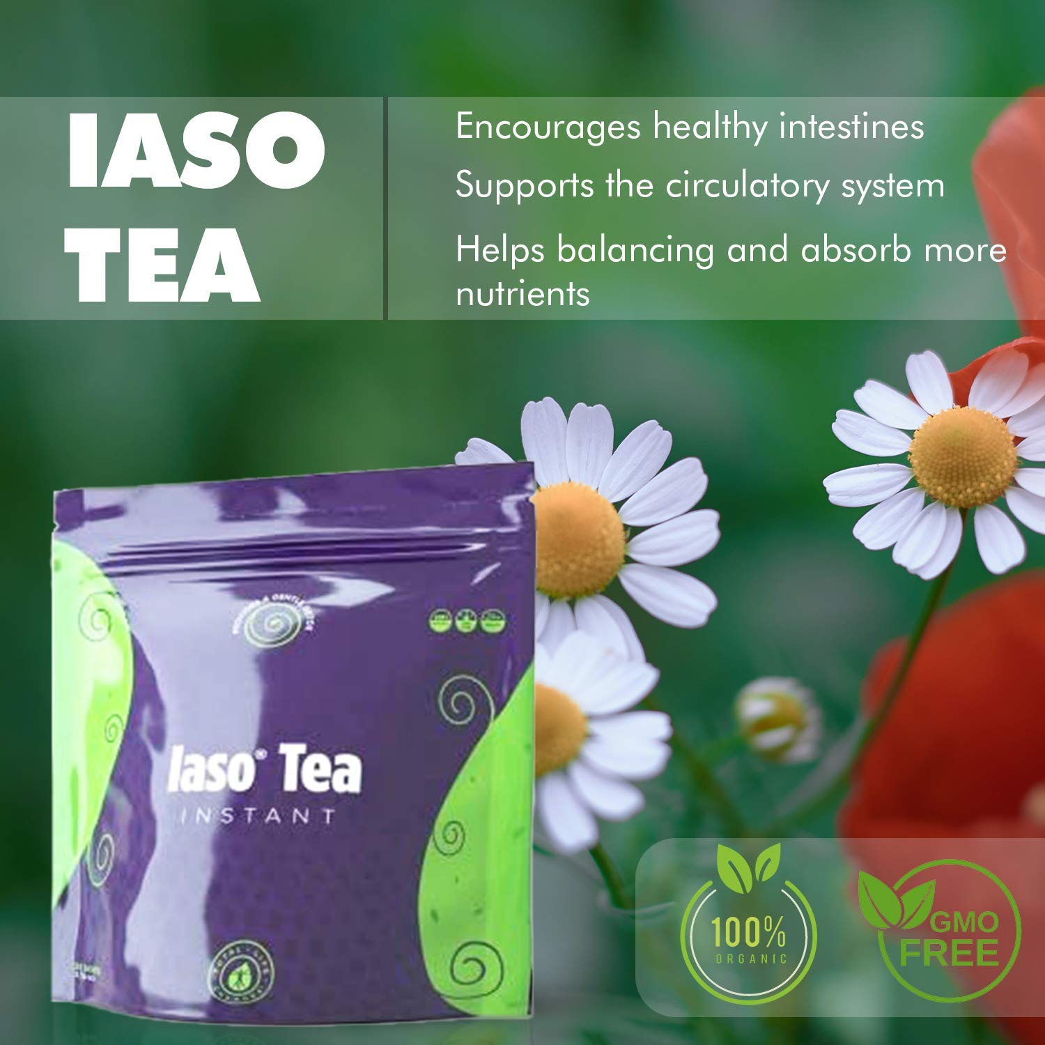 TLC Total Life Changes IASO Natural Detox Instant Herbal Tea - Expiration Date on the Top - Maple Wellness Supplements