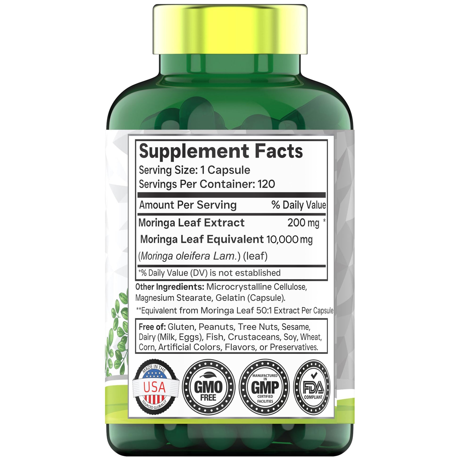 tnvitamins Moringa Capsules 10,000 mg - 120 Capsules | High Potency Moringa Leaf Extract Superfood Supplement for Energy - Maple Wellness Supplements