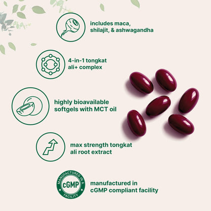 Tongkat Ali+ for Men with Maca, Shilajit, & Ashwagandha | 240 Softgels with MCT Oil for Better Absorption | Max Strength Eurycoma Longifolia Extract (Longjack) | Non-GMO, Gluten Free - Maple Wellness Supplements