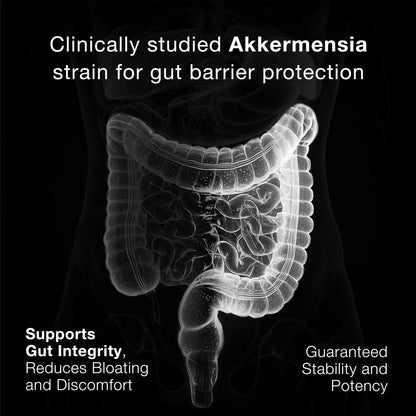Toniiq Akkermansia Probiotic – 10 Billion TFU – Supports Gut Health & GLP-1 Activity - Maple Wellness Supplements