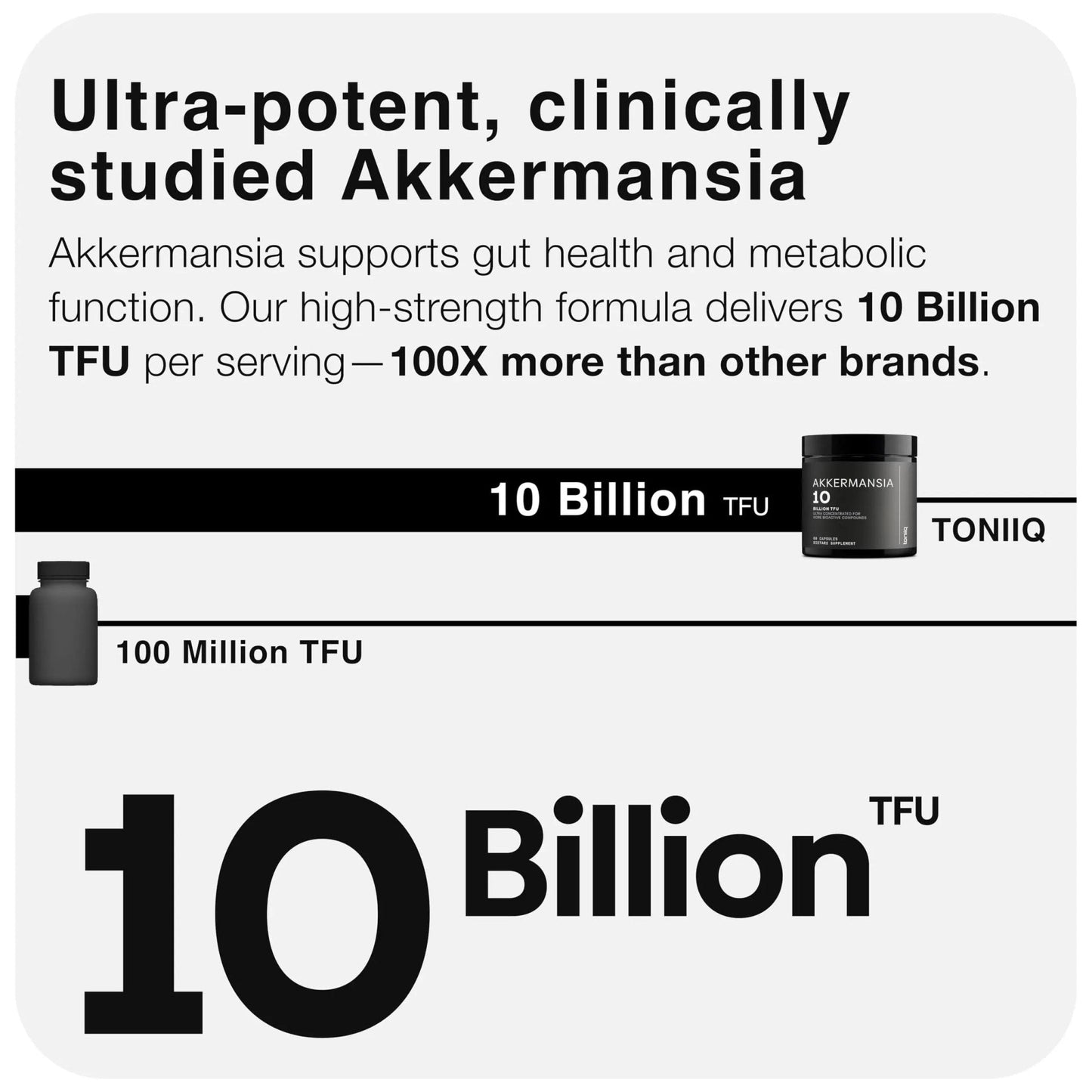 Toniiq Akkermansia Probiotic – 10 Billion TFU – Supports Gut Health & GLP-1 Activity - Maple Wellness Supplements
