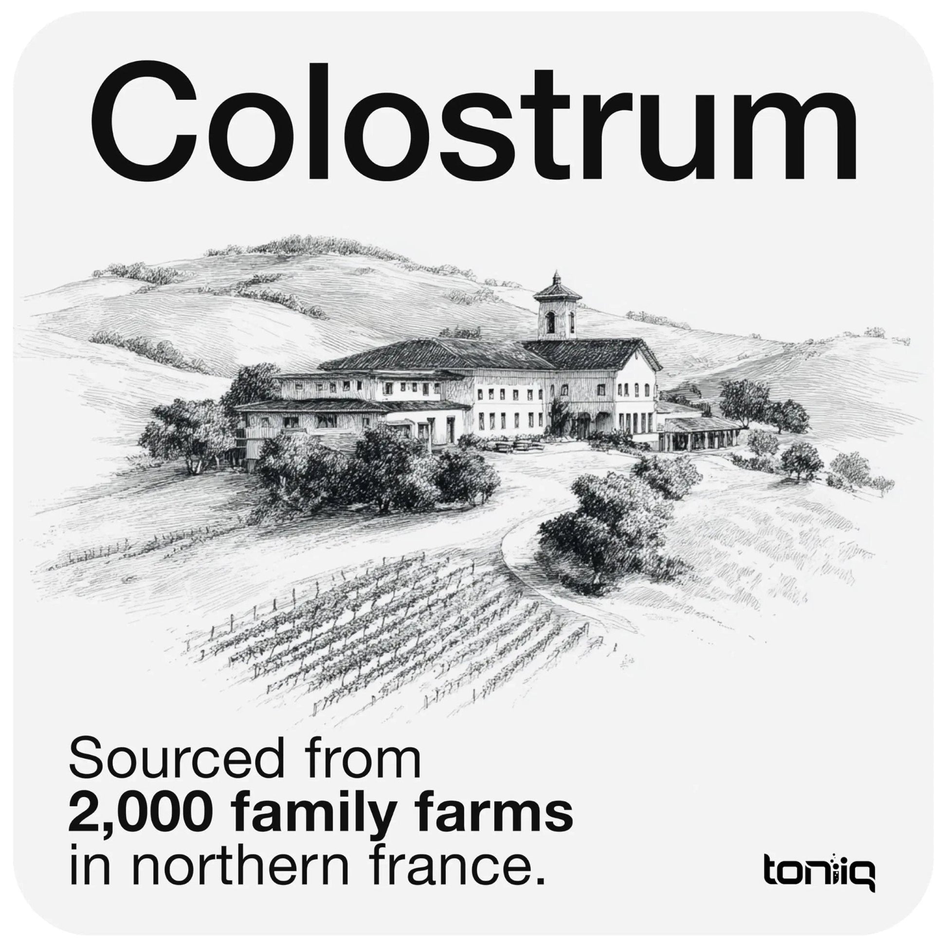 Toniiq Colostrum Powder – Ultra High Potency 50% IgG Concentrate – Farm-to-Jar Traceable French Colostrum – Microfiltered for Purity – Third-Party Lab Verified – 30 Servings - Maple Wellness Supplements