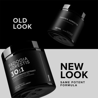 Toniiq Fadogia Agrestis - Ultra High Potency 30:1 Extract - 1200mg Per Serving - Highly Concentrated - Third-Party Lab Tested - 120 Capsules - Maple Wellness Supplements