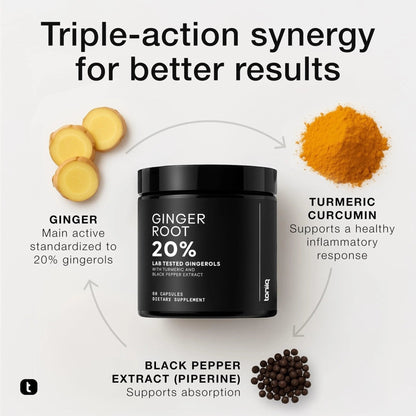 Toniiq Ginger Root Capsules – Ultra High Potency 25:1 Extract with 20% Gingerols – with Curcumin & Black Pepper for Synergy – Lab Tested – 60 Capsules - Maple Wellness Supplements