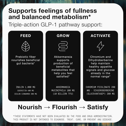 Toniiq GLP-1 Support — with Clinically Studied, Patented GlucoVantage® Dihydroberberine and Akkermansia — Appetite and Fullness Support — 120 Capsules (60-Day Supply) - Maple Wellness Supplements