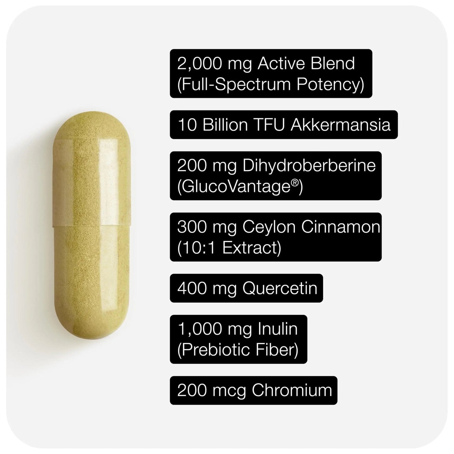 Toniiq GLP-1 Support — with Clinically Studied, Patented GlucoVantage® Dihydroberberine and Akkermansia — Appetite and Fullness Support — 120 Capsules (60-Day Supply) - Maple Wellness Supplements