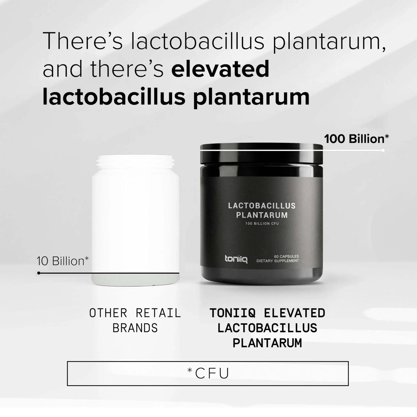 Toniiq Lactobacillus Plantarum – 100 Billion CFU High-Strength Single-Strain Probiotic with FOS – Delayed-Release Veggie Capsules – Third-Party Tested Potency – 60 Capsules - Maple Wellness Supplements