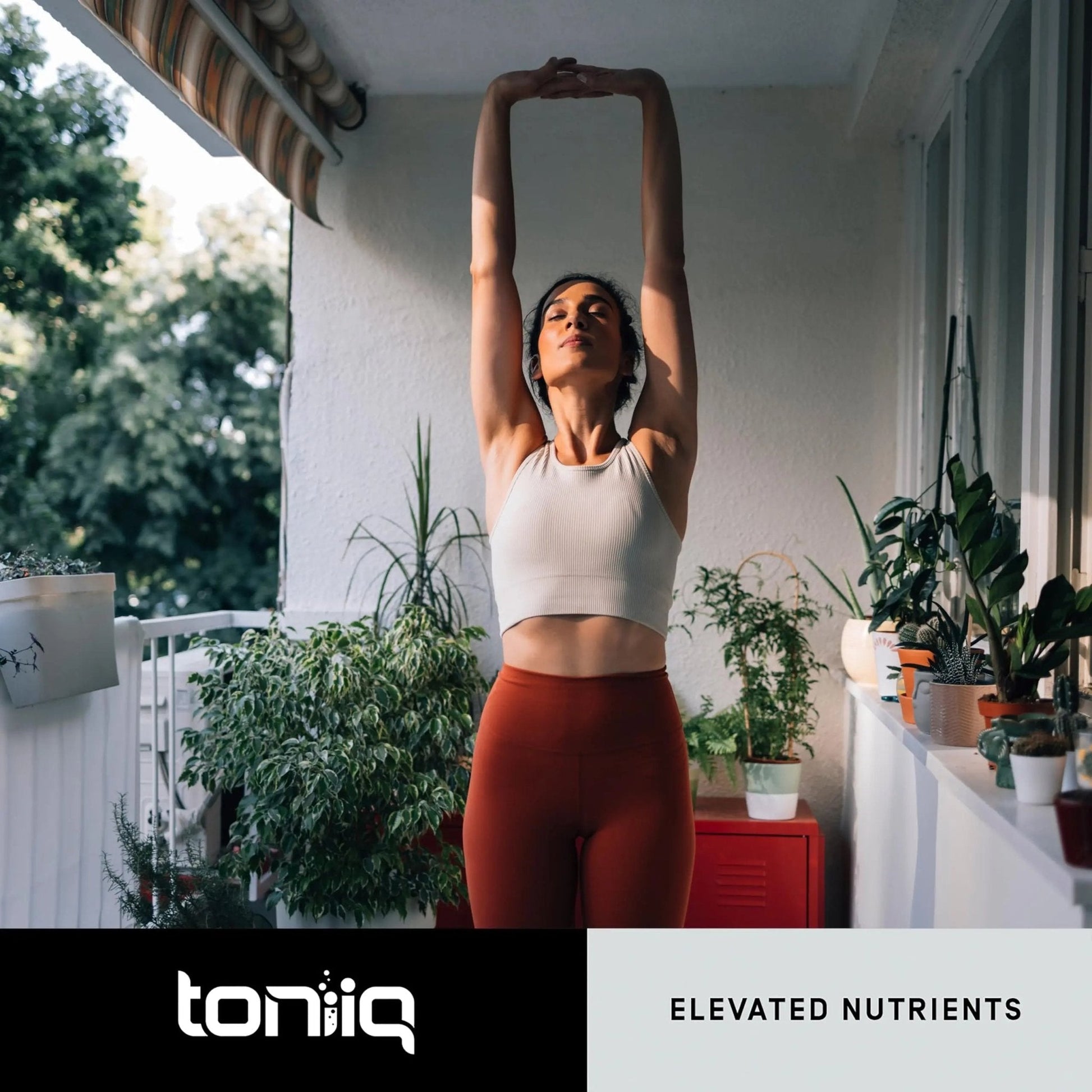 Toniiq Lactobacillus Plantarum – 100 Billion CFU High-Strength Single-Strain Probiotic with FOS – Delayed-Release Veggie Capsules – Third-Party Tested Potency – 60 Capsules - Maple Wellness Supplements