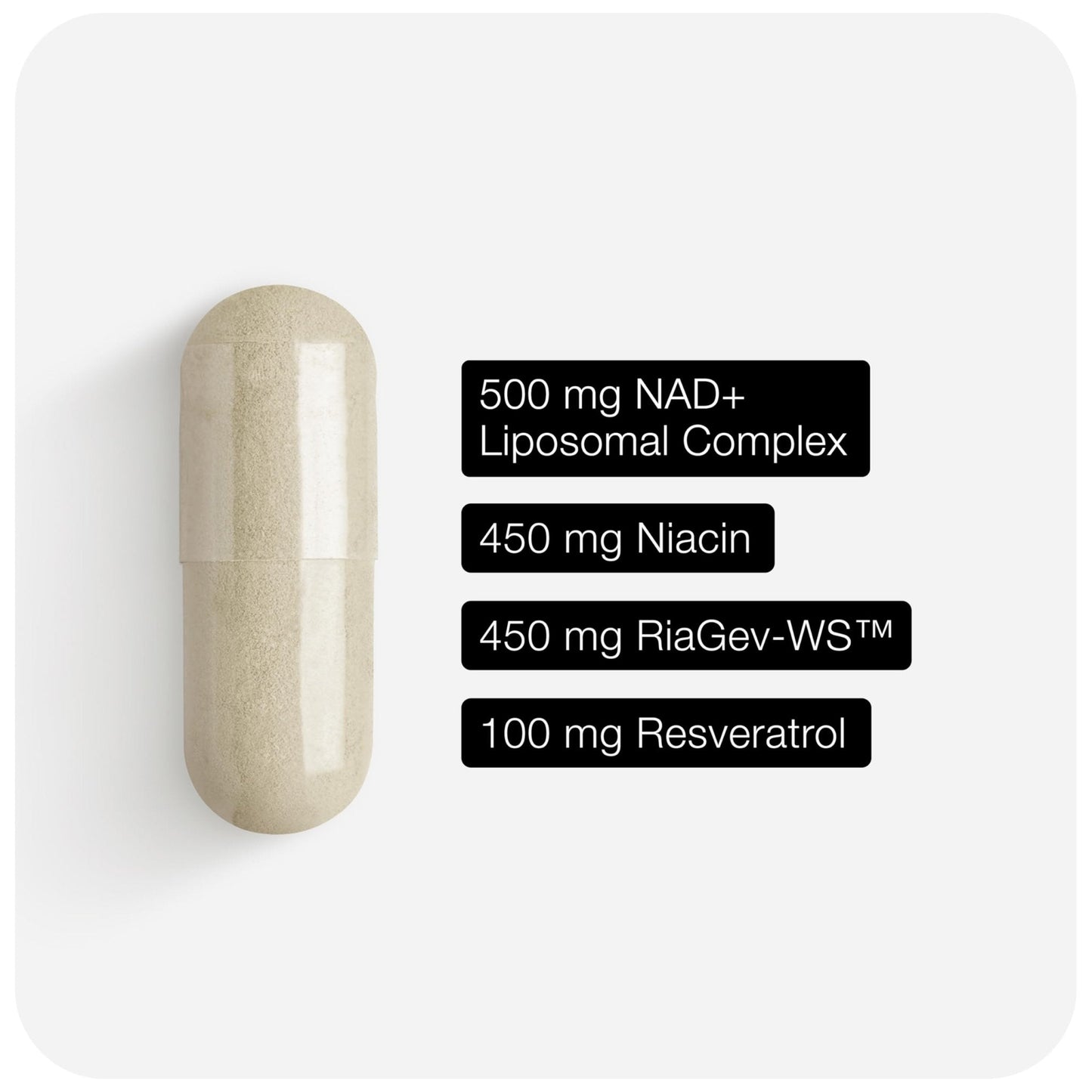 Toniiq Liposomal NAD+ and Resveratrol Supplement - 1500mg Ultra High Strength NAD Supplement - Clinically Studied Ingredients with Patented RiaGev-WS - Maple Wellness Supplements