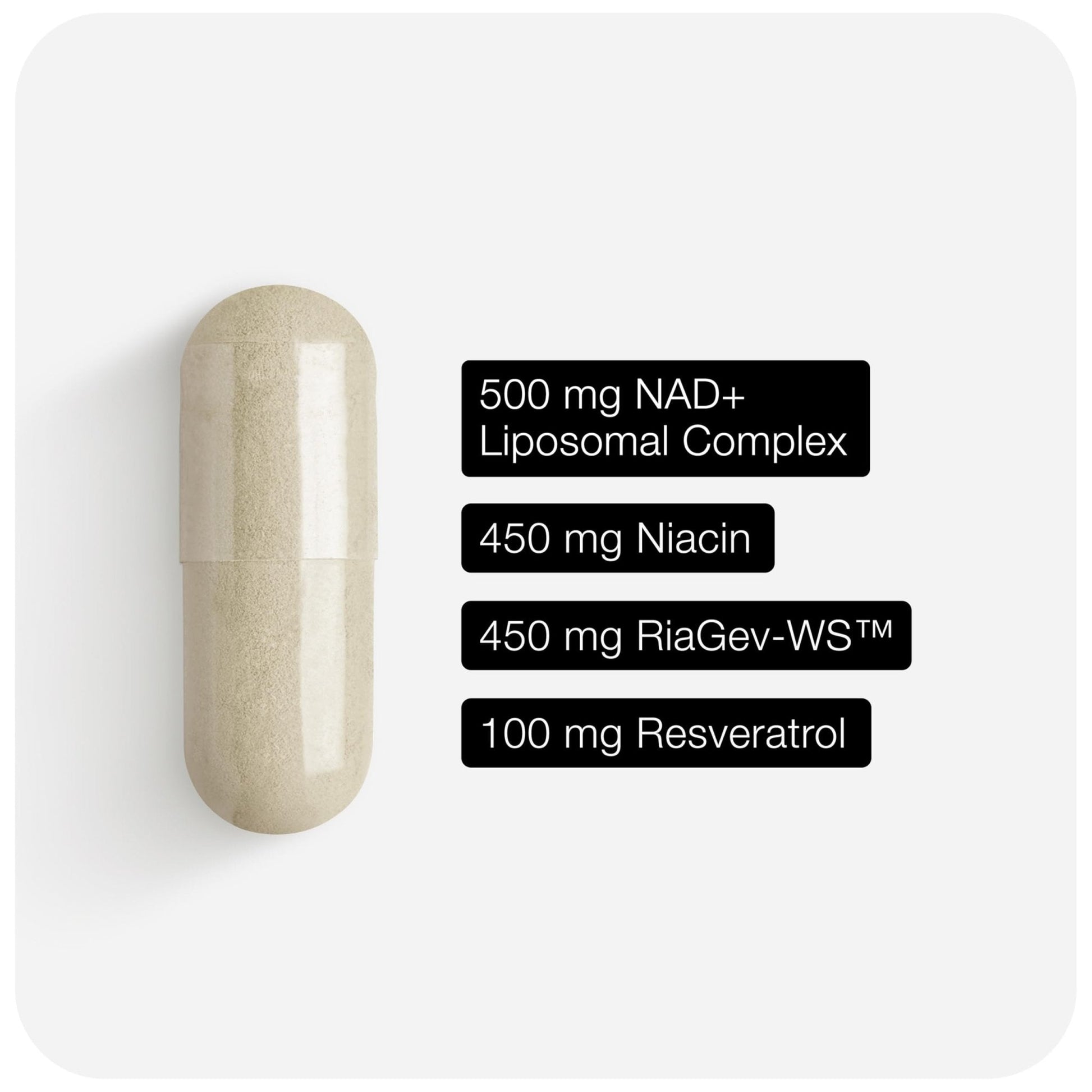 Toniiq Liposomal NAD+ and Resveratrol Supplement - 1500mg Ultra High Strength NAD Supplement - Clinically Studied Ingredients with Patented RiaGev-WS - Maple Wellness Supplements