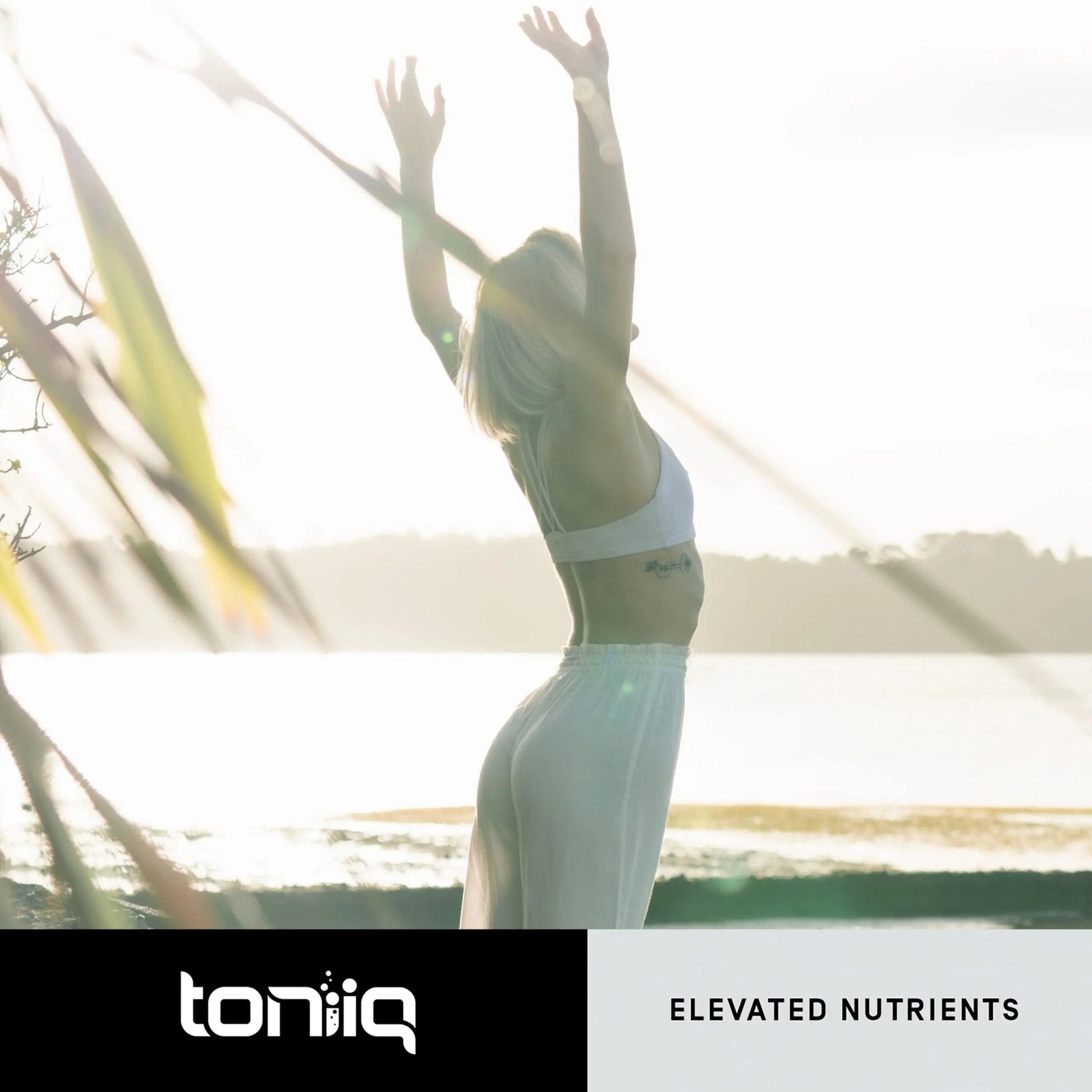 Toniiq Ultra High Purity Fisetin 500mg - 98%+ Higly Purified & Bioavailable Fisetin Supplement with MCT Oil for Absorption - Third-Party Tested Senolytic Supplements for Aging Support - 60 Capsules - Maple Wellness Supplements