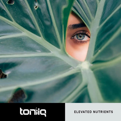 Toniiq Ultra High Purity Resveratrol Capsules - 98% Trans-Resveratrol - Highly Purified and Bioavailable - 60 Caps Reservatrol Supplement - Maple Wellness Supplements