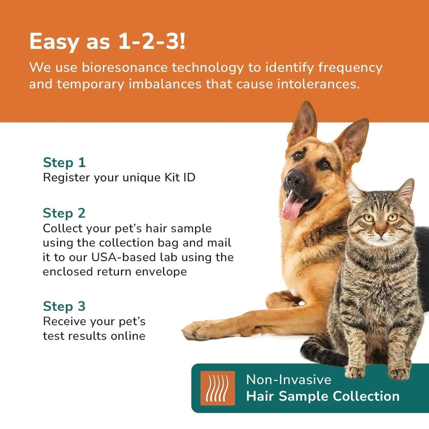 TotalVet Dog Allergy +1000 Food & Nutritional Sensitivity Test, Pet Intolerance Kit at Home — Advanced Complement to DNA Tests for Complete Pet Wellness - Maple Wellness Supplements