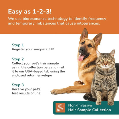 TotalVet Dog Allergy +1000 Food & Nutritional Sensitivity Test, Pet Intolerance Kit at Home — Advanced Complement to DNA Tests for Complete Pet Wellness - Maple Wellness Supplements