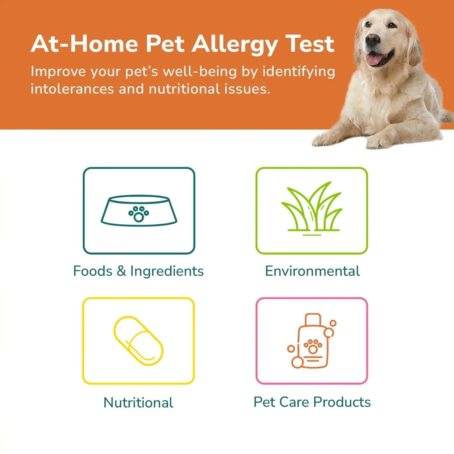 TotalVet Dog Allergy +1000 Food & Nutritional Sensitivity Test, Pet Intolerance Kit at Home — Advanced Complement to DNA Tests for Complete Pet Wellness - Maple Wellness Supplements
