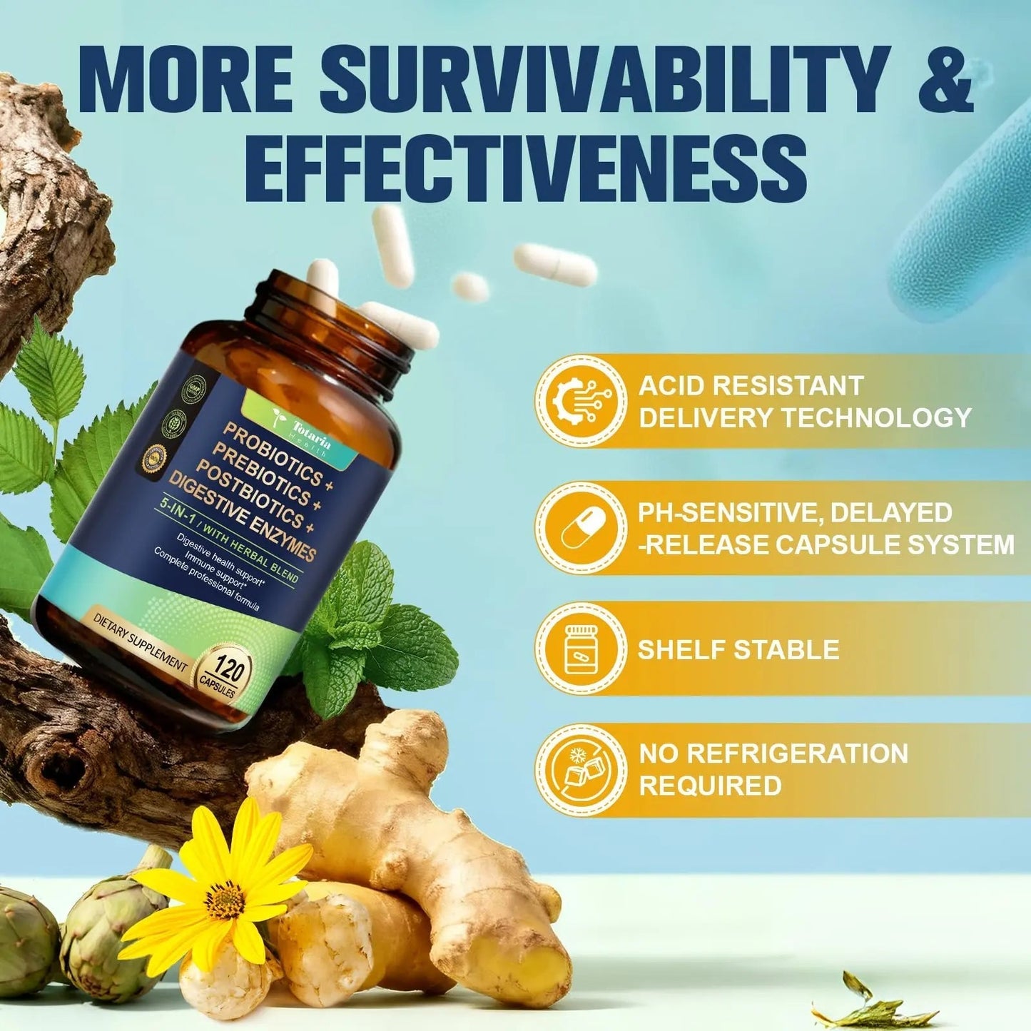 Totaria (2 Packs) 5-in-1 Probiotic Prebiotic & Postbiotic for Women Men, 60 Billion CFU 24 Strains w/Digestive Enzymes, Slippery Elm, Daily Complete Gut Health, Digestive & Immune Support - Maple Wellness Supplements