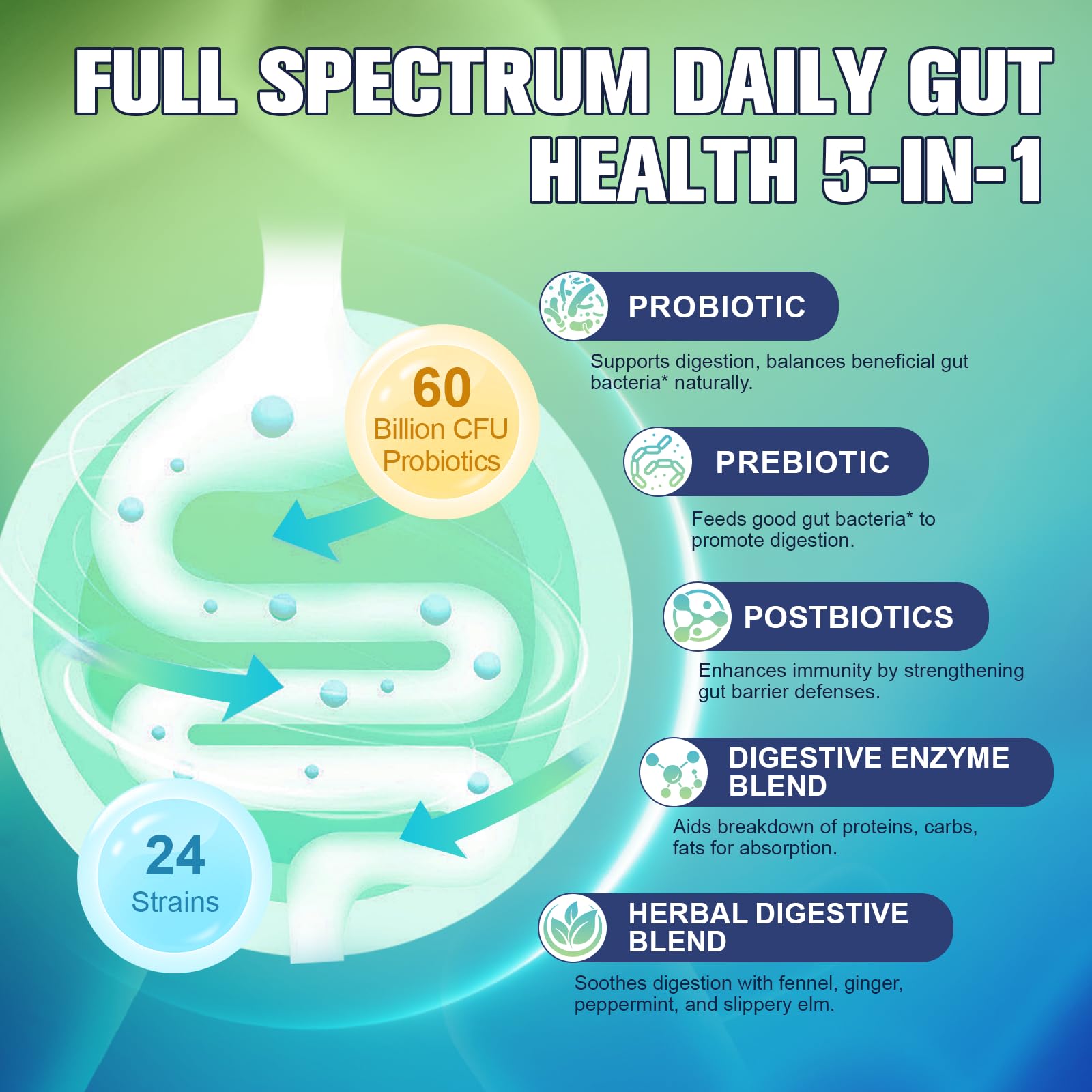 Totaria 5-in-1 60 Billion CFU Probiotic Prebiotic & Postbiotic for Women & Men, w/Digestive Enzymes, Slippery Elm, Daily Complete Gut Health, - Maple Wellness Supplements