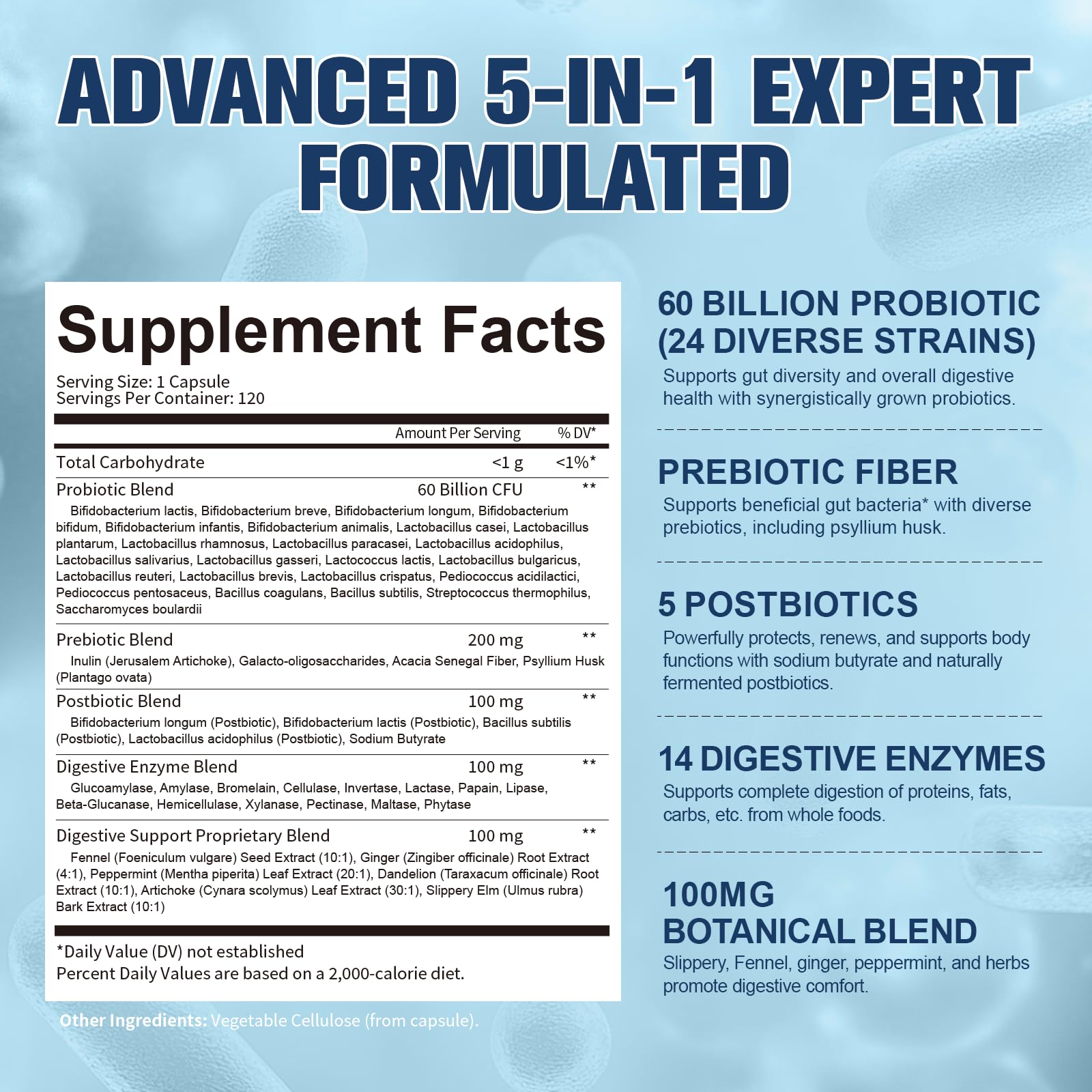 Totaria 5-in-1 Probiotic Prebiotic & Postbiotic for Women Men, 60 Billion CFU 24 Strains w/Digestive Enzymes, Prebiotic Fiber, Slippery Elm - Maple Wellness Supplements