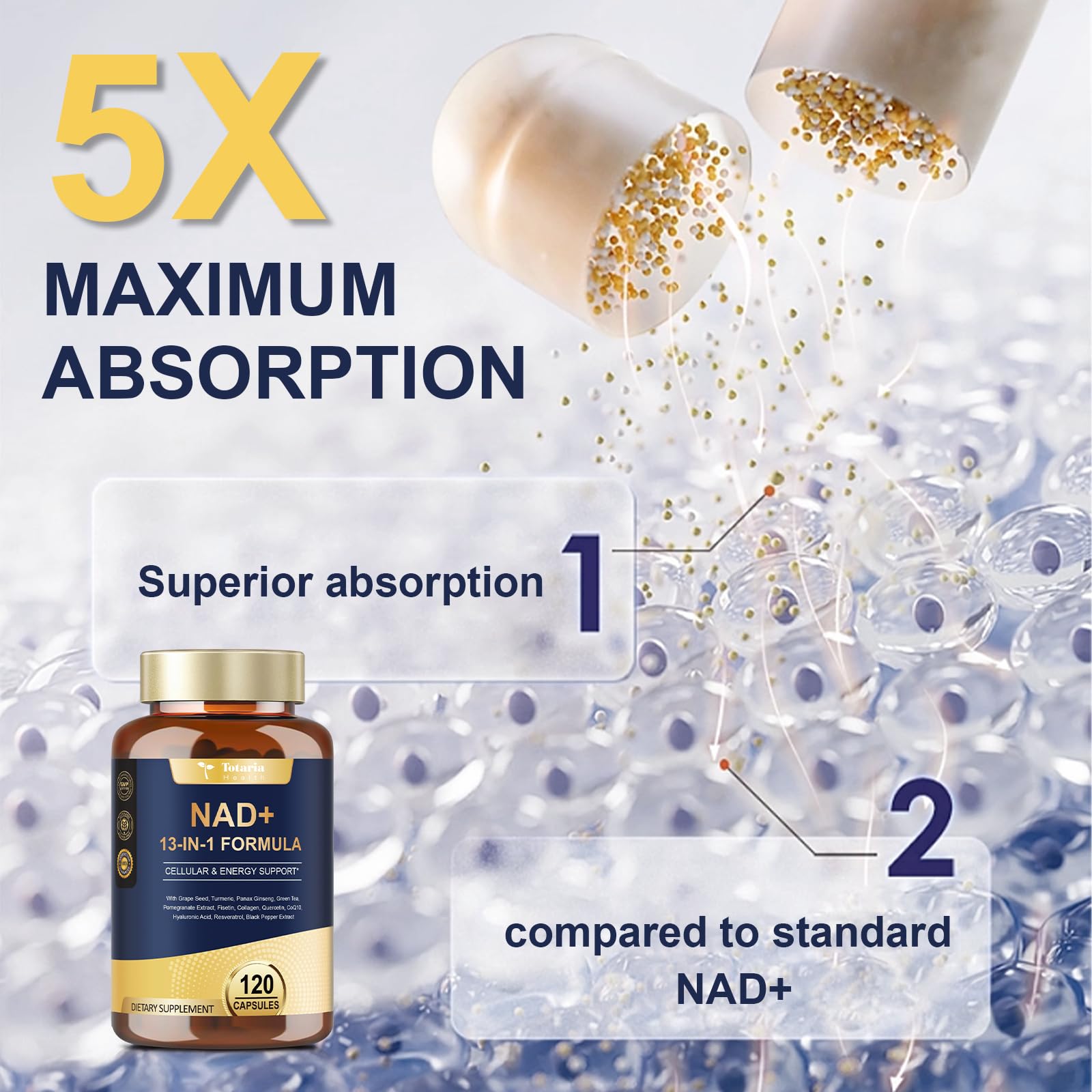 Totaria NAD Supplement for Women Men with nicotinamide riboside resveratrol,Quercetin, Betaine Boost NAD+ Levels NAD Plus Supplement for Anti Aging, Energy, Immune, Focus 120 Capsules - Maple Wellness Supplements