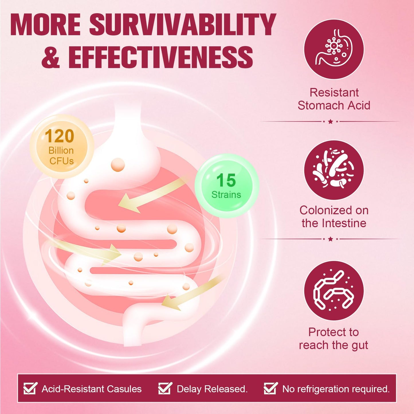 Totaria Probiotics for Women, 120 Billion Women Probiotic, with Akkermansia, Digestive Enzymes & Prebiotics, Cranberry, D-Mannose, for Gut, Vaginal, Urinary - Maple Wellness Supplements