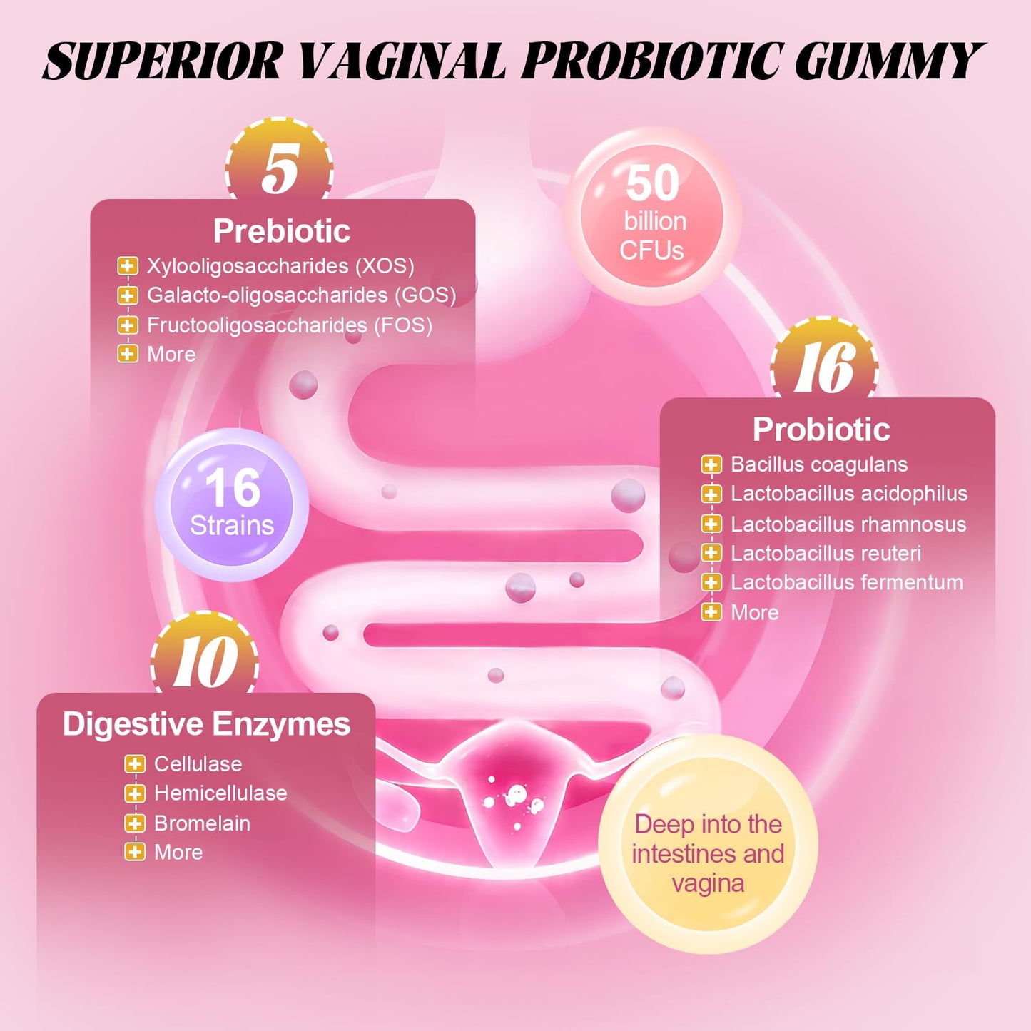 Totaria Sugar Free Probiotics for Women, Feminine Balance Gummies, 50 Billion CFU Vaginal Probiotic Prebiotic w/Slippery Elm, Cranberry, for Vaginal, Urinary Tract - Maple Wellness Supplements