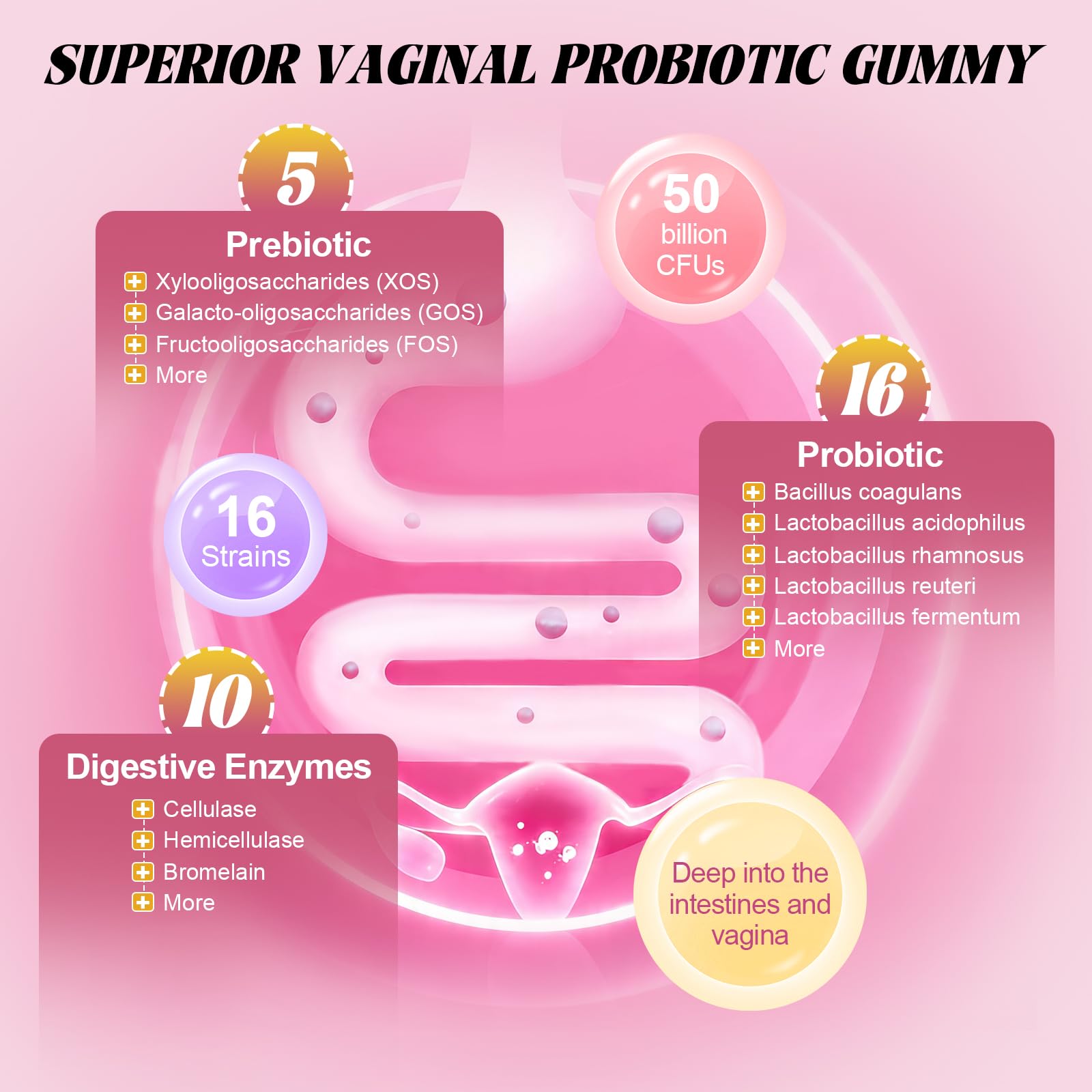 Totaria Sugar Free Probiotics for Women, Feminine Balance Gummies, 50 Billion CFU Vaginal Probiotic Prebiotic w/Slippery Elm, Cranberry, for Vaginal, Urinary Tract - Maple Wellness Supplements