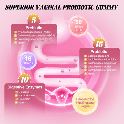 Totaria Sugar Free Probiotics for Women, Feminine Balance Gummies, 50 Billion CFU Vaginal Probiotic Prebiotic w/Slippery Elm, Cranberry, for Vaginal, Urinary Tract - Maple Wellness Supplements