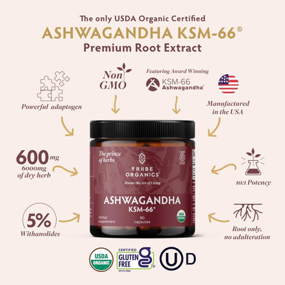 TRIBE ORGANICS Ashwagandha KSM 66 Pure Organic Root Powder Extract Ayurvedic Supplement - Focus Mood Support Increase Energy Strength 600mg of Natural KSM66 for Superior Absorption - 90 Capsules - Maple Wellness Supplements