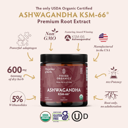 TRIBE ORGANICS Ashwagandha KSM 66 Pure Organic Root Powder Extract Ayurvedic Supplement - Focus, Mood Support, Increase Energy, Strength, 600mg of Natural KSM66 for Superior Absorption - 120 Capsules - Maple Wellness Supplements
