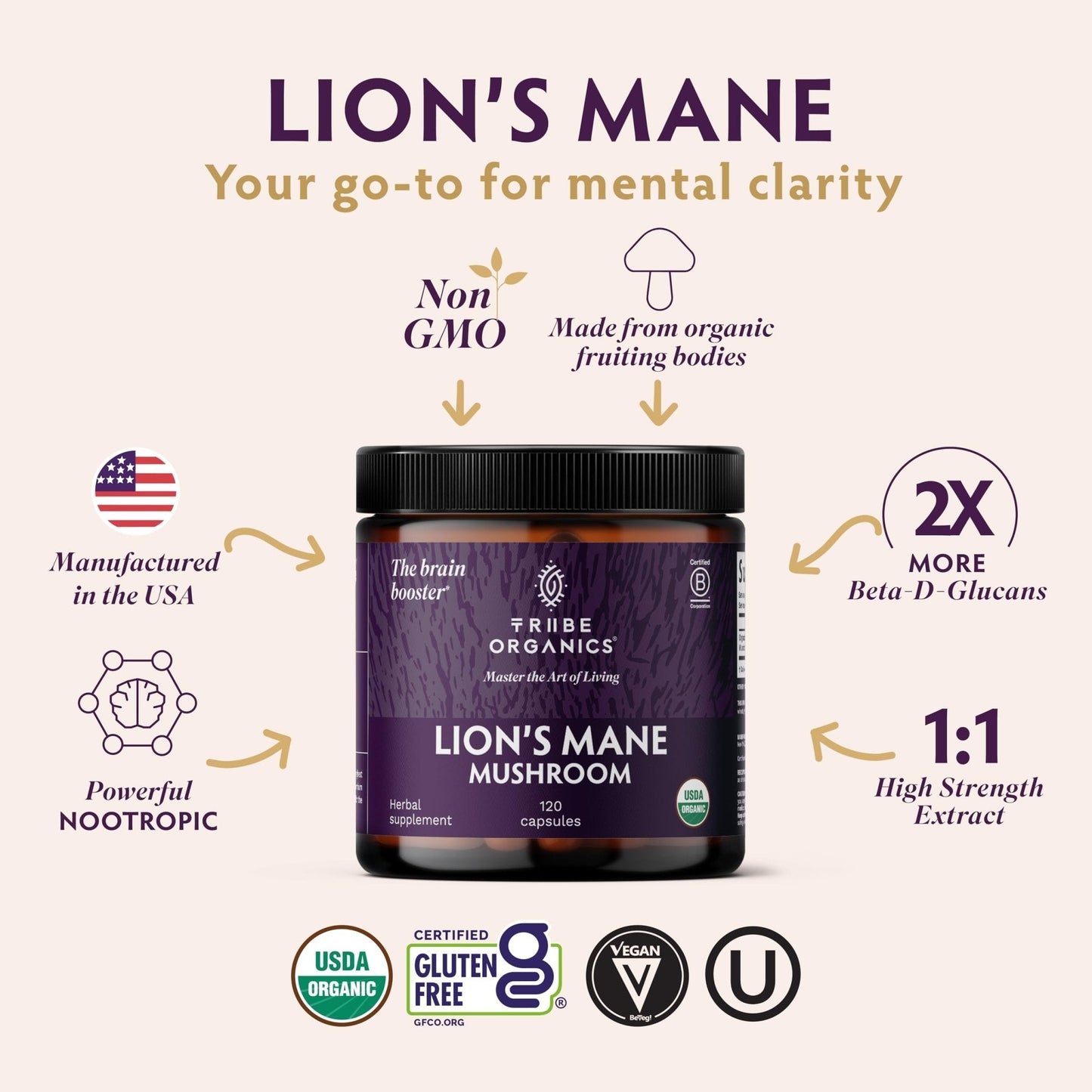 TRIBE ORGANICS Lion’s Mane Supplement 1000mg Mushroom Extract Powder - Immune System Booster & Brain Nootropic for Focus and Memory | Mental Clarity | Natural Energy and Immunity - 120 Vegan Capsules - Maple Wellness Supplements