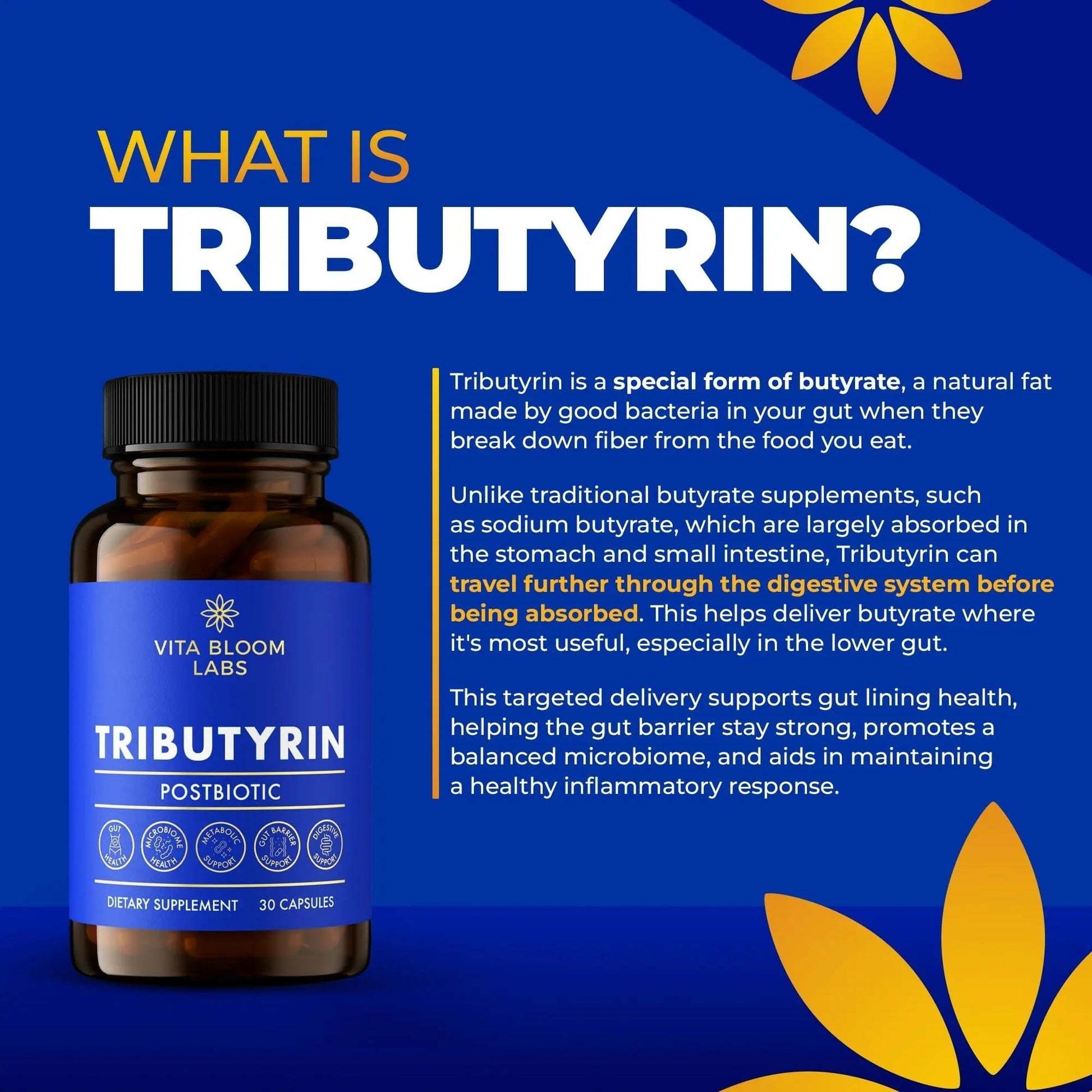 Tributyrin Supplement - Better Delivery & More Effective than Sodium Butyrate - Gut Health & Digestive Support - 3-in-1 Butyrate Postbiotics for Leaky Gut & Gut Barrier Support - 30 Capsules - Maple Wellness Supplements
