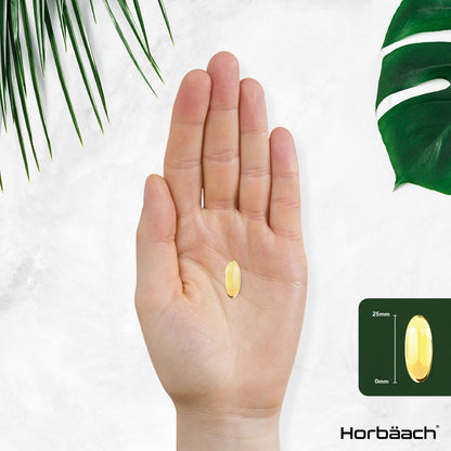 Triple Omega 3 6 9 Capsules | 180 Count | High Strength Supplement with DHA - Maple Wellness Supplements