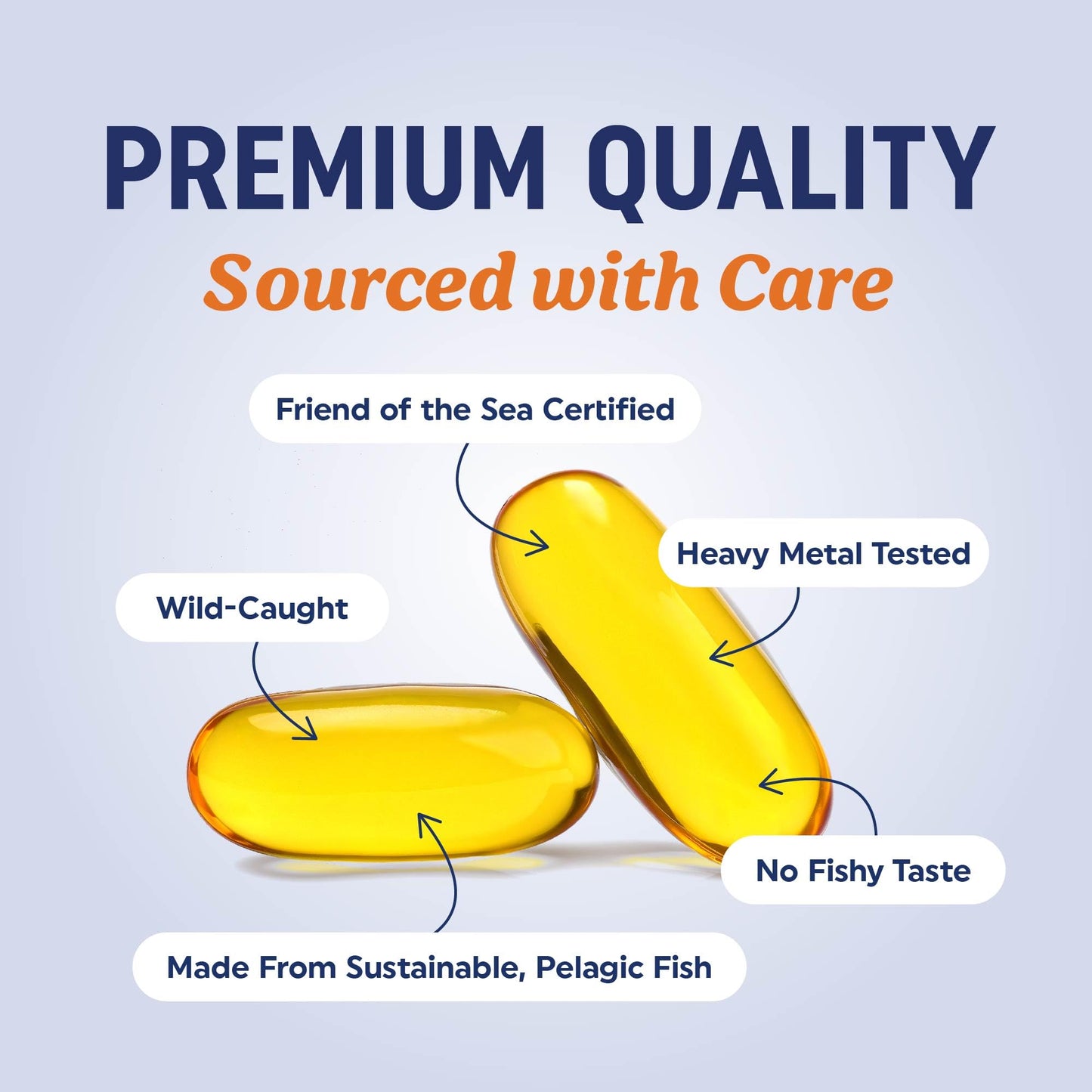 Triple Strength Omega 3 Fish Oil 1200 mg | EPA & DHA | Wild Caught, Sustainably Sourced Omega-3 Fatty Acids | Premium Burpless Fish Oil Supplements - Maple Wellness Supplements