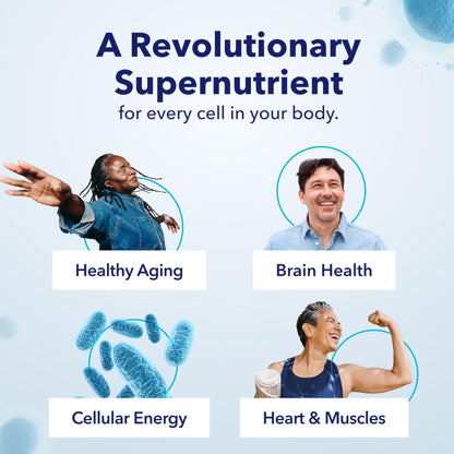 TRU NIAGEN Patented NAD Supplement for Brain Function, Anti Aging & Cell Regeneration, 300mg Niagen, 30 Servings | Supports Cellular Energy, Muscle | Nicotinamide Riboside (NR) Take 1 Daily | 1 Bottle - Maple Wellness Supplements