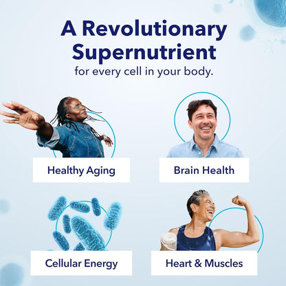 TRU NIAGEN Patented NAD Supplement for Brain Function, Anti Aging & Cell Regeneration, Niagen, 60 300mg Servings | Supports Cellular Energy, Muscle | Nicotinamide Riboside (NR) Take 2 Daily | 1 Bottle - Maple Wellness Supplements