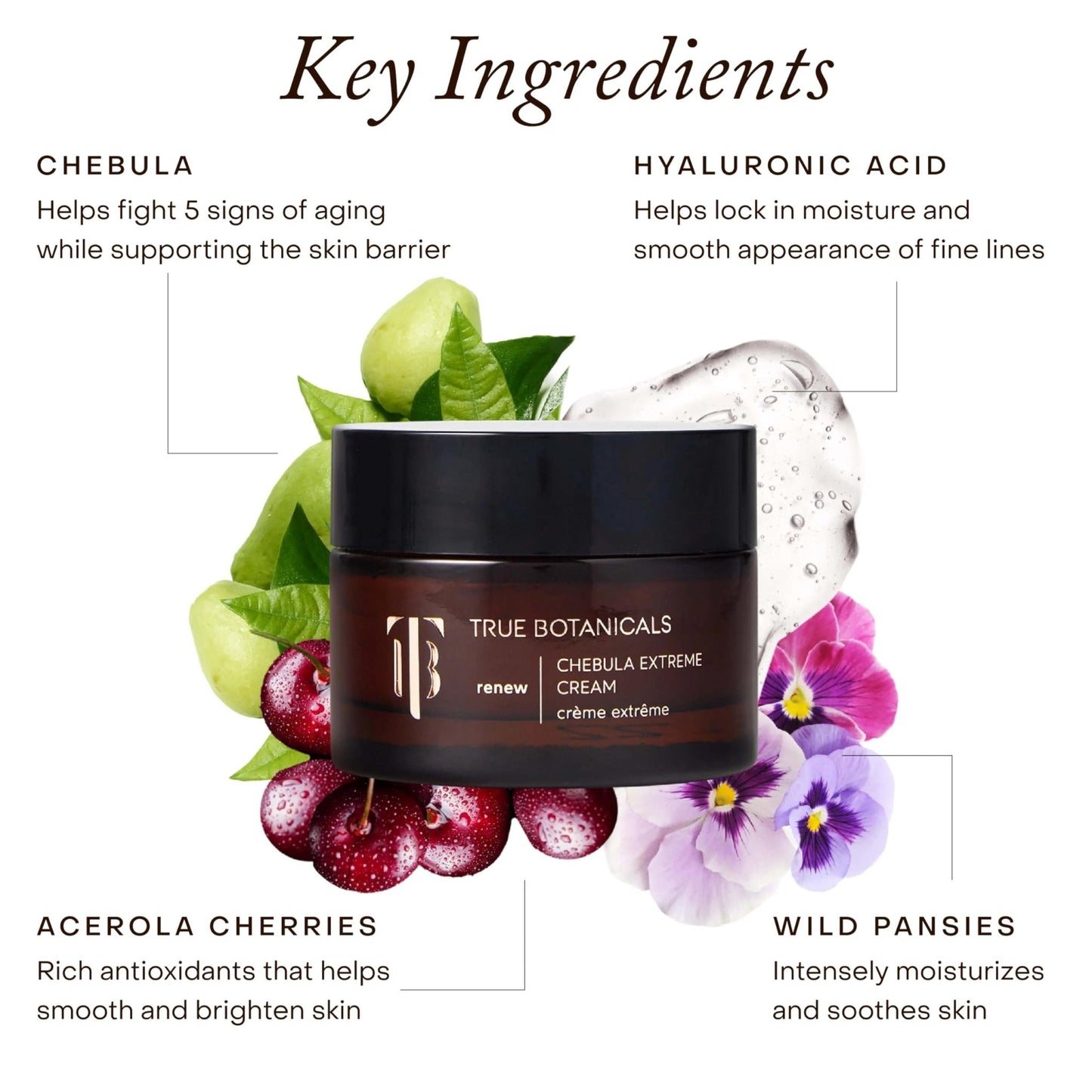 True Botanicals Chebula Extreme Cream | Anti-Aging Moisturizer w/Hyaluronic Acid | Treats Fine Lines & Wrinkles | Dry & Sensitive Skin | Dermatologist Tested, All Natural, Vegan | 1.7 oz | 50 ml - Maple Wellness Supplements