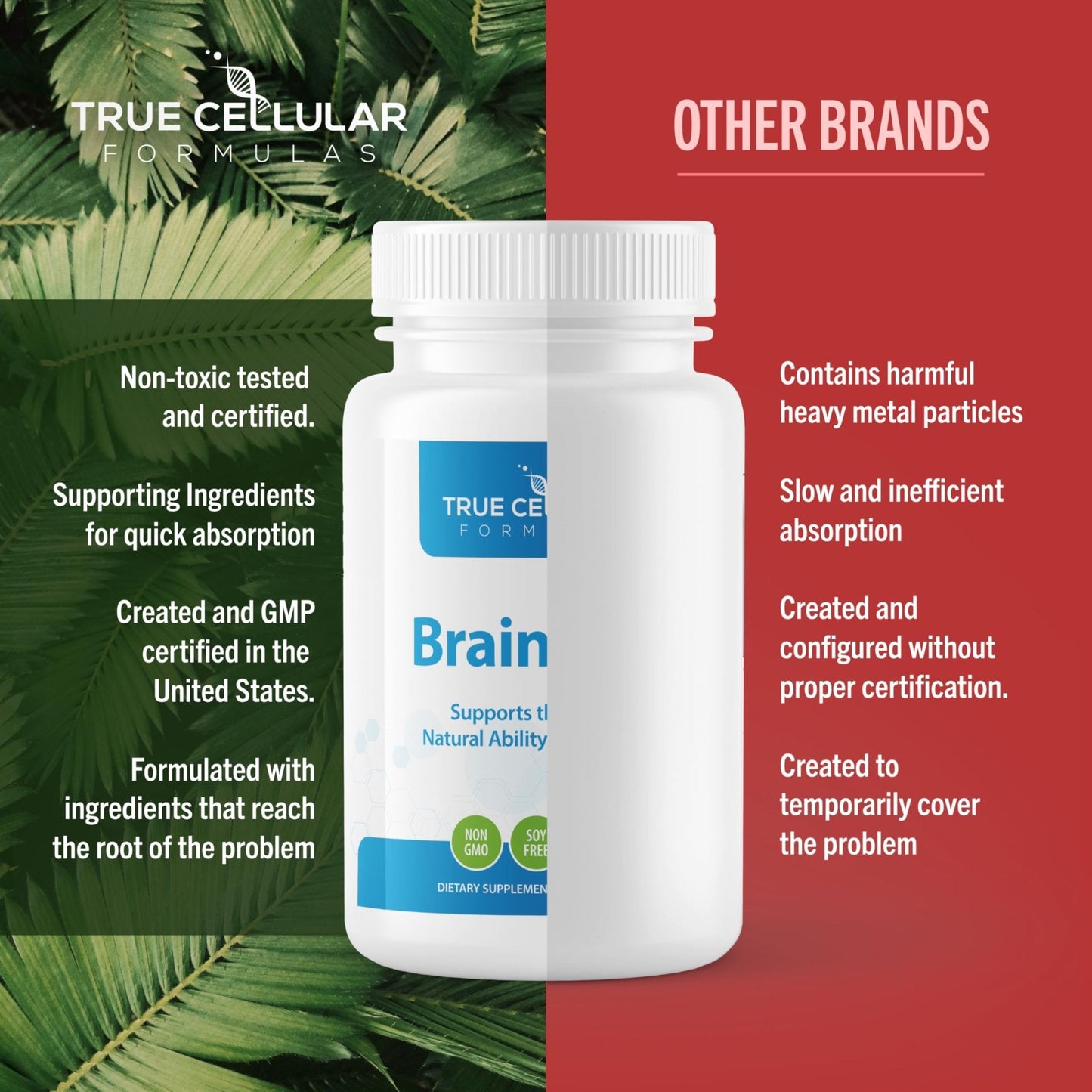 True Cellular Formulas BrainDTX - Supports Cognitive Function, Focus & Mental Clarity - Promotes Clear Thinking & Memory - with Alpha Lipoic Acid & Biotin - Antioxidant Support - 60 Capsules - Maple Wellness Supplements