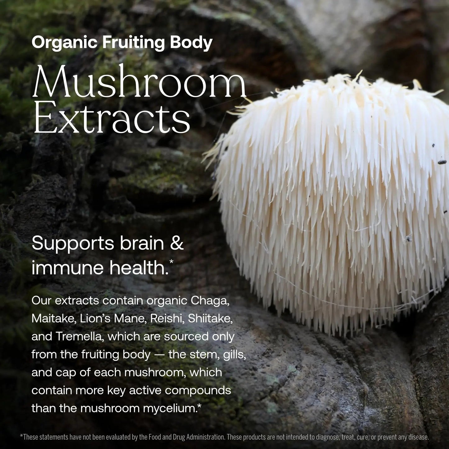 True Grace Men's 40+ One Daily Multivitamin Fermented Minerals, Organic Adaptogens & Mushrooms Whole Body Balance Immune - Maple Wellness Supplements